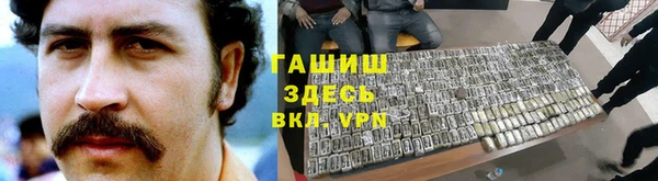 прущие грибы Дмитров
