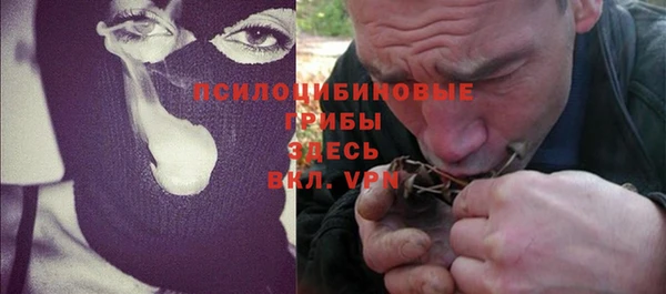 прущие грибы Дмитров