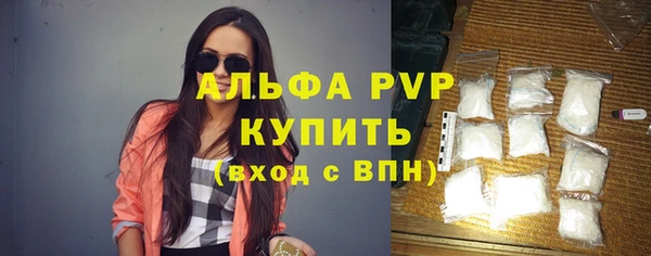 прущие грибы Дмитров