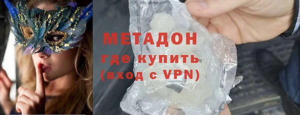прущие грибы Дмитров
