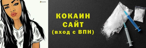 прущие грибы Дмитров