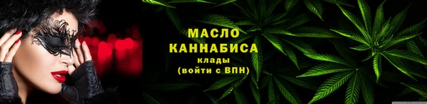 ПСИЛОЦИБИНОВЫЕ ГРИБЫ Дмитриев
