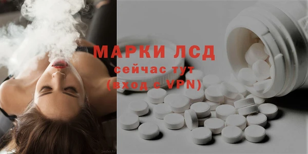 прущие грибы Дмитров