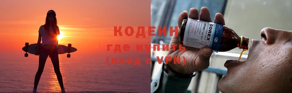 ПСИЛОЦИБИНОВЫЕ ГРИБЫ Дмитриев