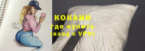 ПСИЛОЦИБИНОВЫЕ ГРИБЫ Дмитриев