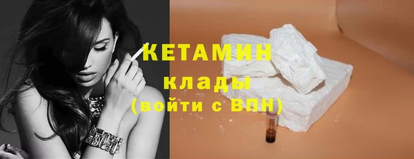 прущие грибы Дмитров