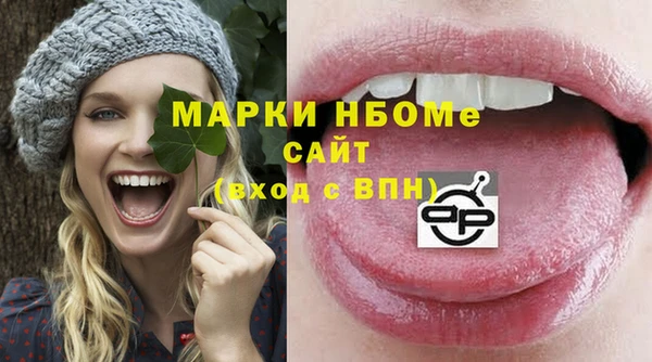 прущие грибы Дмитров