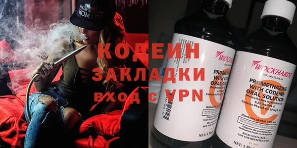ПСИЛОЦИБИНОВЫЕ ГРИБЫ Дмитриев