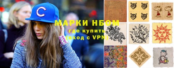 ПСИЛОЦИБИНОВЫЕ ГРИБЫ Дмитриев