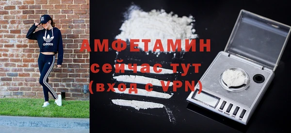 ПСИЛОЦИБИНОВЫЕ ГРИБЫ Дмитриев