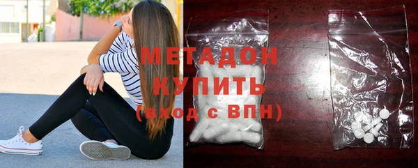 ПСИЛОЦИБИНОВЫЕ ГРИБЫ Дмитриев