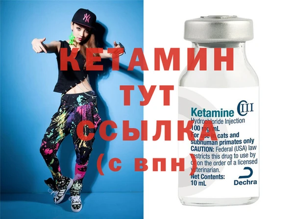 прущие грибы Дмитров