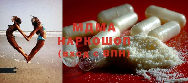 прущие грибы Дмитров