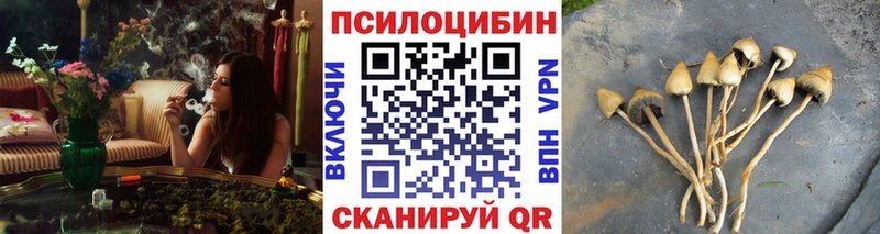 Купить где Туймазы Псилоцибиновые грибы мицелий